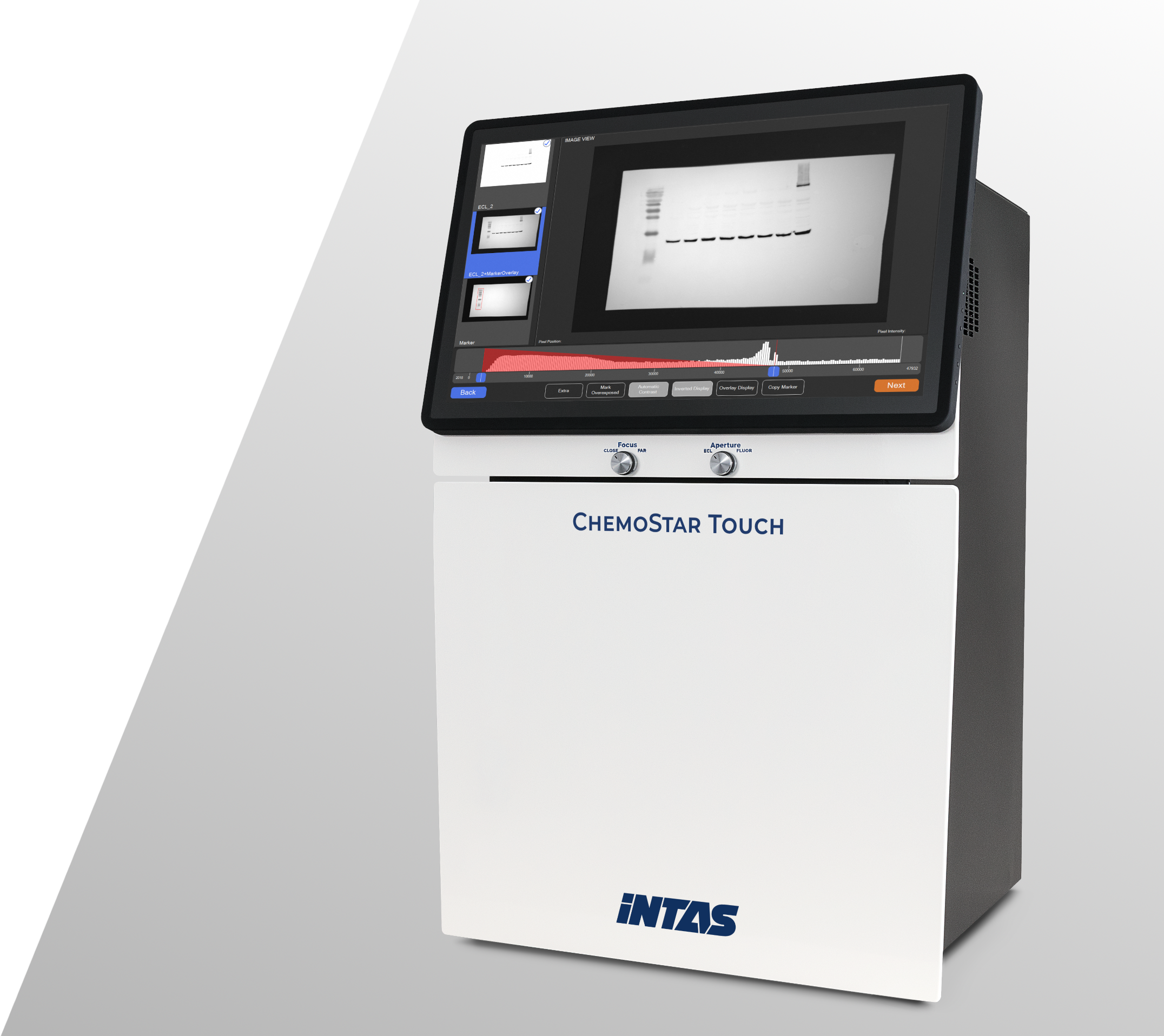 Western Blot with ChemoStar Touch