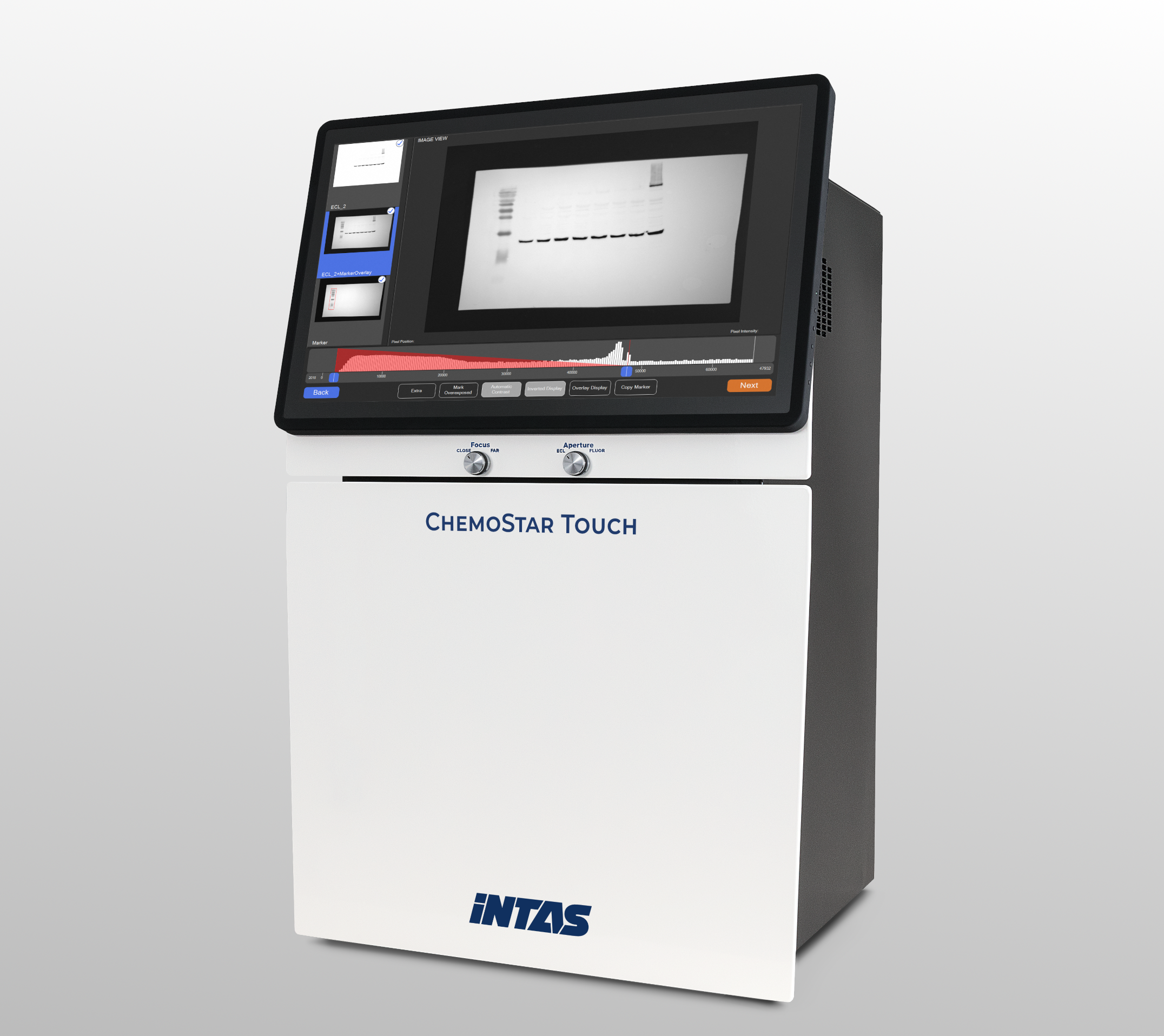Western Blot with ChemoStar Touch